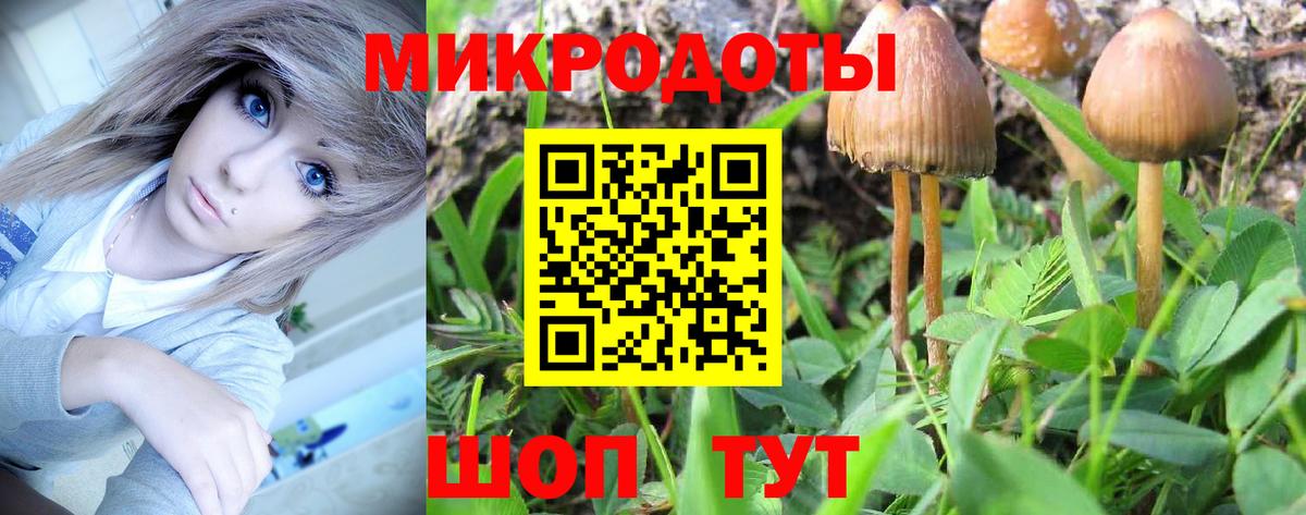 Красноармейск  Галлюциногенные грибы Psilocybe  Вход с VPN  Псилоцибиновые грибы ЛСД 